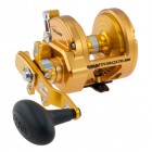 PENN TRQ25NG/TORQUE 25N GLD STAR DRAG