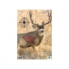 BIRCHWOOD CASEY Pregame Mule Deer 16.5? x 24? Tgt - 3 Tgt