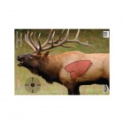 BIRCHWOOD CASEY Pregame Elk 16.5? x 24? Tgt - 3 Tgt