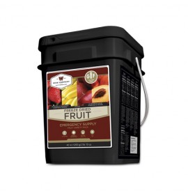 WISE FOODS Frrezed Dried Fruit - 152 Servings