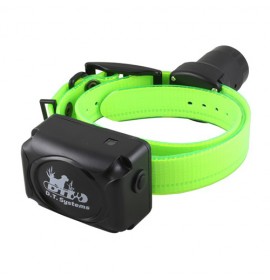 DT SYSTEMS Add-On BEEPER Collar Receiver (Green)
