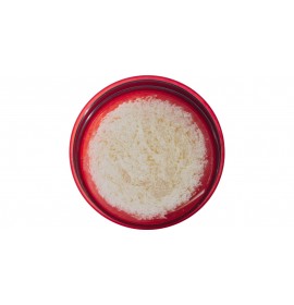 MSR Guardian™ Purifier Cartridge Replacement