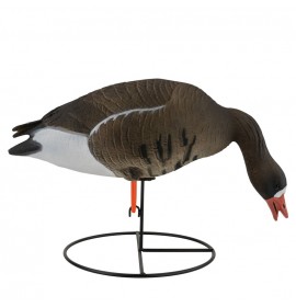 TANGLEFREE Pro Series Specklebelly Full Body Combo 6 Pack