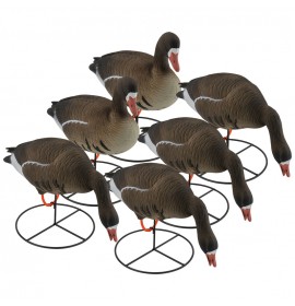 TANGLEFREE Pro Series Specklebelly Full Body Combo 6 Pack