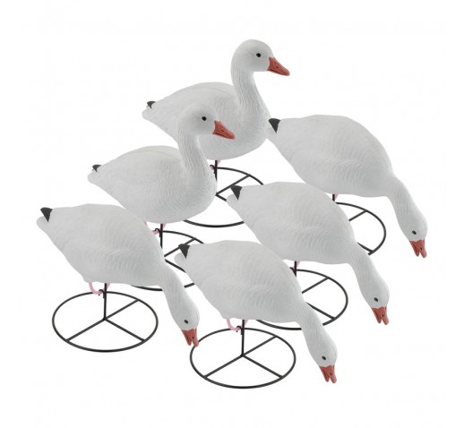 TANGLEFREE Pro Series Snow Goose Full Body Combo 6 Pack
