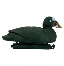 TANGLEFREE Migration Edition Surf Scoter 6 Pack