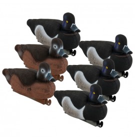 TANGLEFREE Migration Edition Ringneck 6 Pack