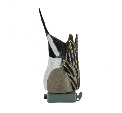 TANGLEFREE Pintail Feeders "Butts" (6 Drakes)