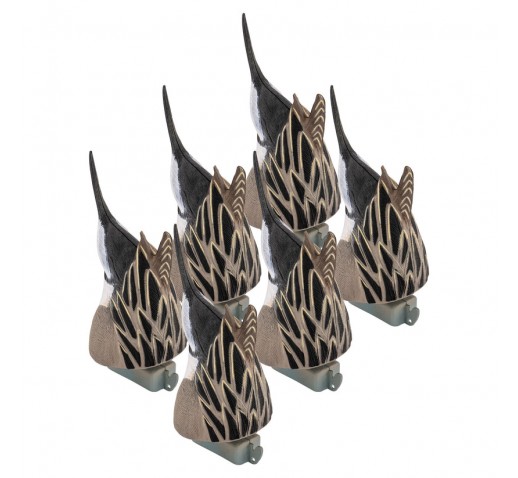 TANGLEFREE Pintail Feeders "Butts" (6 Drakes)