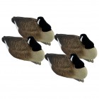 TANGLEFREE Pro Series Canada Goose Sleeper Floater 4 Pack