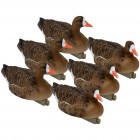 TANGLEFREE Flight Specklebelly Floater Decoys 6 Pack