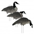 TANGLEFREE Canada Skinny Decoys 12 Pack
