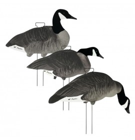 TANGLEFREE Canada Skinny Decoys 12 Pack