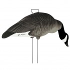 TANGLEFREE Canada Skinny Decoys 12 Pack