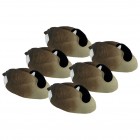 TANGLEFREE Pro Series Canada Goose Sleeper Shell 6 Pack