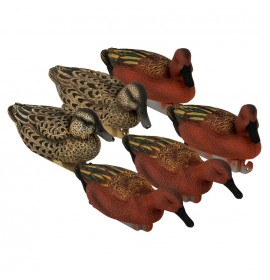 TANGLEFREE Flight Cinnamon Teal 6 Pack