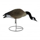TANGLEFREE Pro Series Full Body Canada Goose Feeders 6 Pack