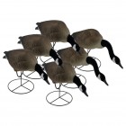 TANGLEFREE Pro Series Full Body Canada Goose Feeders 6 Pack