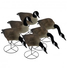 TANGLEFREE Pro Series Full Body Canada Goose Combo 6 Pack