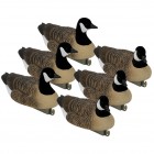 TANGLEFREE Flight Lesser Canada Floater Decoys 6 Pack