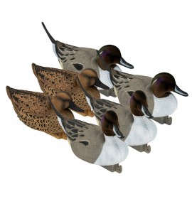 TANGLEFREE Flight Pintail 6 Pack