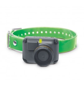 DOGTRA T&B Additional Receiver