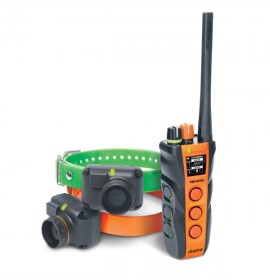 DOGTRA T&B Dual 2-dog