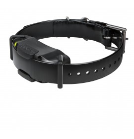 DOGTRA RX Unit #12 1900S, 1902S