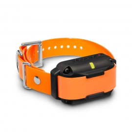 DOGTRA 2300NCP Expandable Additional Receiver