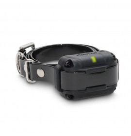 DOGTRA Additional Receiver #5 300M, 302M