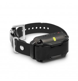 DOGTRA Additional Receiver #4 2300NCP, 2302NCP, 3500NCP, 3502NCP