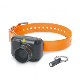 DOGTRA STB Beeper Collar