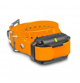 DOGTRA EDGE RT Additional Receiver