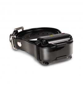 DOGTRA Additional Receiver #7 IQ