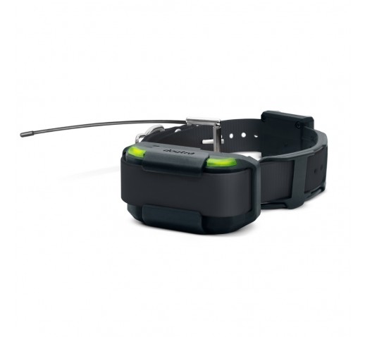 DOGTRA Pathfinder SE Additional LED GPS Collar