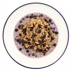 MOUNTAIN HOUSE Granola with Milk and Blueberries #10 Can