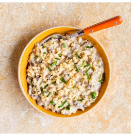 MOUNTAIN HOUSE Classic Beef Stroganoff with Noodles