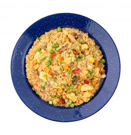 MOUNTAIN HOUSE Chicken Fried Rice Pouch
