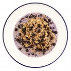 MOUNTAIN HOUSE Granola with Milk and Blueberries Pouch